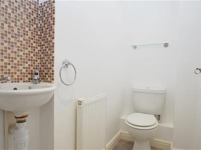 Picture 11